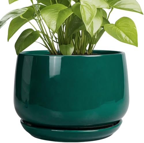 G EPGardening Ceramic Pots for Plants, 9 Inch Ceramic Planter, Green by GEPGardening