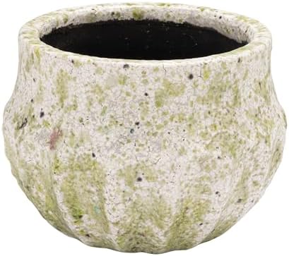 Creative Co-Op Medium Terra-Cotta Planter with Crackle Glaze and Terrazzo Finish, Multicolor by Unknown