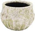 Creative Co-Op Medium Terra-Cotta Planter with Crackle Glaze and Terrazzo Finish, Multicolor by Unknown
