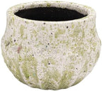 Creative Co-Op Medium Terra-Cotta Planter with Crackle Glaze and Terrazzo Finish, Multicolor by Unknown
