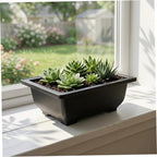 PartyKindom 15pcs Rectangular Plastic Bonsai Plant Pot with Efficient Drainage and Mesh Bottom, Lightweight Deep Tray Planter for Succulent and Bonsai, Suitable for Outdoor and Office Use - Image 5