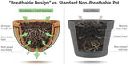 Kingbuy 14" Metal Hanging Basket with Coconut Liner – 6.5" Depth, Rust-Resistant Wire for Ferns & Herbs, Adjustable Chains & S-Hook for Balcony Porch Kitchen Window, 2 Pack - Image 6