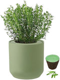 Hydroponic Herb Growing Kit, Self-Watering Kitchen Herb Garden Starter Kit with Green Ceramic Pot and Seeds (Thyme) by Environet