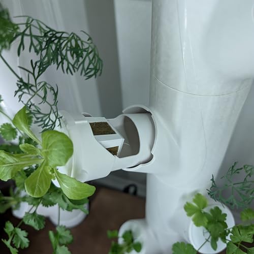 Grow Cubes for Hydroponic System/Compatible with Gardyn (15 Grow Cubes) - Image 5
