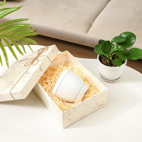 Sureasy Ceramic Plant Pots, 4.7 Inch Flower Pots for Indoor Plants, Succulent Pots with Saucer and Drainage Hole, Decorative Planter for Succulent, Cactus, Set of 4, White - Image 6