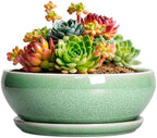 SQOWL Succulent Pots 6 Inch - Ceramic Bonsai Planter for Indoor Plants Outdoor, Shallow Planter with Drainage Hole and Tray, Round Planters for Cactus Flower, Office Decor, Gardening Gifts, Green by SQOWL