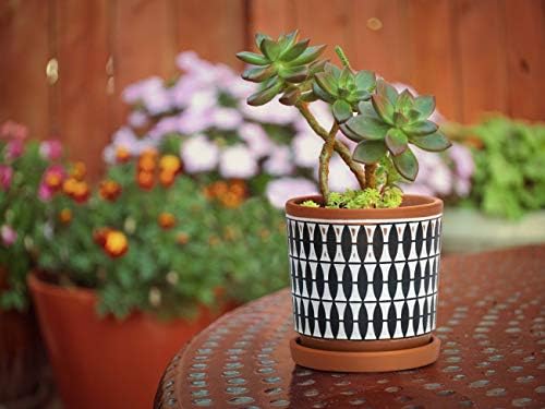 D'vine Dev Set of 2 Terracotta Pots, 4 Inch and 6 Inch, Planter Pots for Plants with Drainage Holes and Saucers, Pottery Red/Black, 31-958-B-2 - Image 5