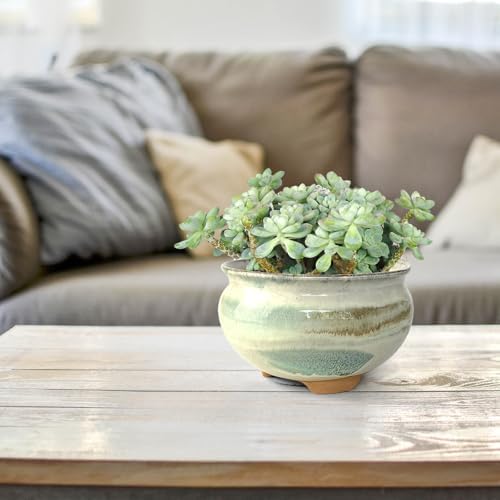 8 Inch Succulent Pot with Drainage and Saucer Glazed Terracotta Round Ceramic Succulent Planter Cactus Bonsai Plant Pot (Gream) - Image 6