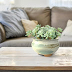8 Inch Succulent Pot with Drainage and Saucer Glazed Terracotta Round Ceramic Succulent Planter Cactus Bonsai Plant Pot (Gream) - Image 6