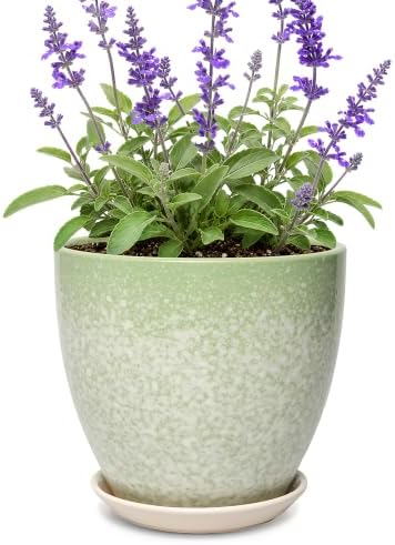 8 Inch Ceramic Planter with Drainage Hole Saucer(Jade Green) by Unknown