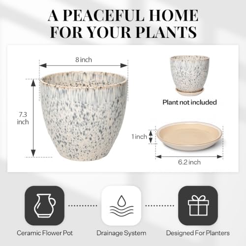 8 Inch Ceramic Planter with Drainage Hole Saucer(Spotted Blue) - Image 5