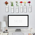 Baderke 6 Pcs Glass Wall Vase for Plants Indoor Hanging Propagation Planter Container Holder with Plastic Invisible Traceless Hangers Hydroponic Plant Succulent Garden Wedding Decor - Image 5