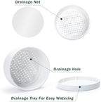 D'vine Dev 10 in Shallow Round Succulent Planter, White, 76-Z-A-2 - Image 5