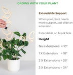 Treleaf Kora Extendable Wooden Plant Trellis Extension Kit (2 Extensions) – Modular Plant Support Add-On for Climbing Houseplants, Moss Pole Alternative for Monstera & Indoor Plants - Image 4