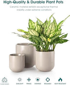 vancasso Ceramic Plant Pots, 4+5+6 inches, Set of 3, Planters with Drainage Hole, Flower Pots Planters Pots for Indoor Plants, Modern Indoor Decorative Garden Pot, Home Decor, Gray - Image 4