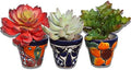Talavera Hand-Painted Flower Pots (Set of 3) - 3" Garden Party Design - Authentic Mexican Pottery Planters for Succulents by MEXTEQUIL