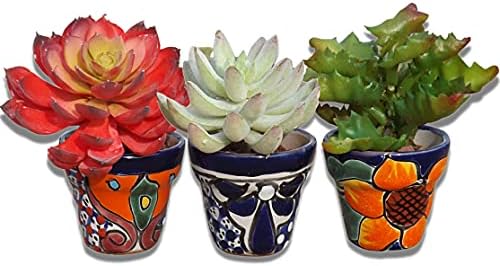 Talavera Hand-Painted Flower Pots (Set of 3) - 3" Garden Party Design - Authentic Mexican Pottery Planters for Succulents by MEXTEQUIL