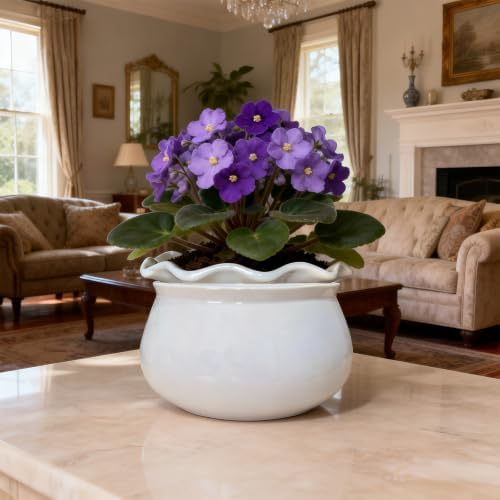 Self Watering Pot for African Violets Indoor Outdoor Plants, 7 inch, White - Image 5