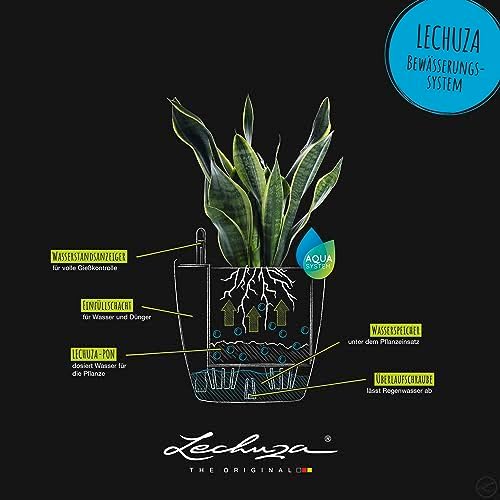 Lechuza 13244 Classico Color 43 Self-Watering Planter for Indoor and Outdoor Use, 17" x 17" x 16", Slate Matte - Image 5