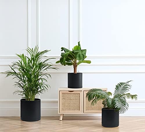 D'vine Dev 3-Pack Plastic Pots & Saucers, 6.5/8/10 in, Black, 74-V-B-4 - Image 3