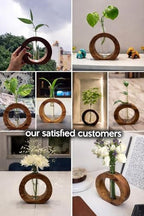 Wooden Glass Test Tube Plant Propagation Station with Wood Stand, Modern Hydroponic Flower Vase for Indoor Plants, Home Office & Desktop Decor, 1 Tube, 17 x 12.5 cm - Image 4