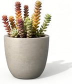 Kante Accent Round Bowl Weathered Concrete Planter 14" Dia, Outdoor by Unknown