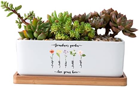 Personalized Birth Month Flower Plant Pot with Kids Names,Custom Grandma's Garden Ceramic Succulent Planter with Bamboo Tray Indoor Outdoor Home Decor Plants, for Mom Grandma,B3 by Uitwaieen