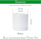 D'vine Dev 2-Pack Ceramic Pots with Saucers, White, 8.2 in, 94-V-D-1 - Image 3