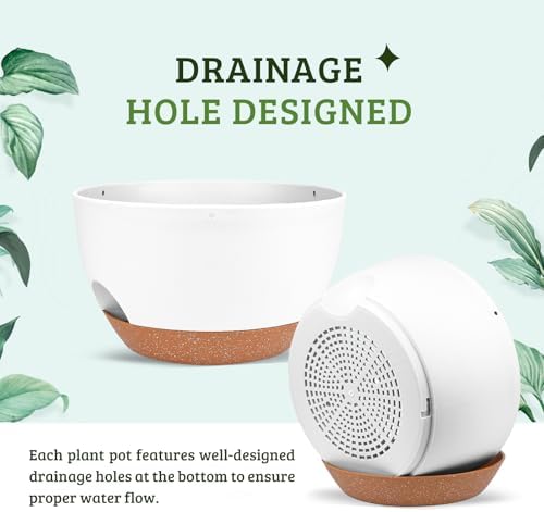Vanslogreen Plant Pots 12inch Self Watering Pots, Set of 2 Plastic Planters with Drainage Holes and Saucers, Flower Pots for Indoor Outdoor Plants (White) - Image 3