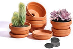 5 Inch Shallow Terracotta Pot for Succulent - 6 Pcs Small Shallow Plant Pots with Drainage Hole and Saucer Mesh Pad, Clay Plant Pottery Pots for Cactus Succulent and Other Indoor Outdoor Plants by NiSevenLiving