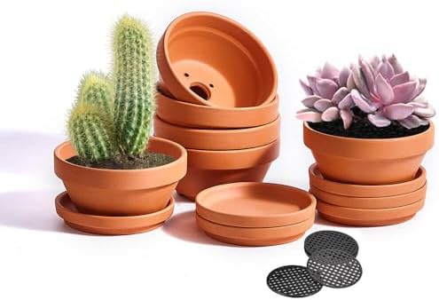5 Inch Shallow Terracotta Pot for Succulent - 6 Pcs Small Shallow Plant Pots with Drainage Hole and Saucer Mesh Pad, Clay Plant Pottery Pots for Cactus Succulent and Other Indoor Outdoor Plants by NiSevenLiving