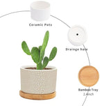 Brown Leopard Print Planters Ceramic African Animal Stripe Round Plant Pot with Drainage Holes and Bamboo Tray Pot for Succulents Cactus Garden Windowsill - Image 3