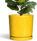 Eightpot Ceramic Flower Pots, 12 Inch Plant Pot with Drainage Holes and Saucers, Round Pots for Plants for Indoor Outdoor, Boho Decorative Planter, Garden House Decor, Gifts for Women, Yellow by Eightpot