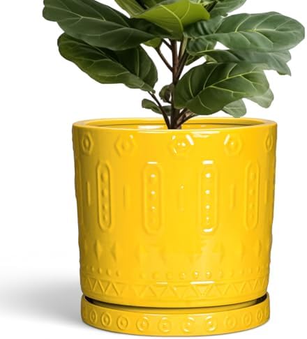 Eightpot Ceramic Flower Pots, 12 Inch Plant Pot with Drainage Holes and Saucers, Round Pots for Plants for Indoor Outdoor, Boho Decorative Planter, Garden House Decor, Gifts for Women, Yellow by Eightpot