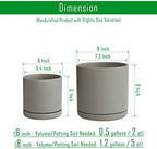 D'vine Dev 2-Pack Ceramic Pots with Saucers, 6/8 in, Grey, 94-G-M-3 - Image 3