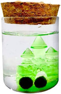 Moss Pet Glass Terrarium Bottle Kit with Cork Lid, Crystal Castle Design, 2 Moss Amigos, Decorative Display Jar Gift for Men and Women by MossArtistry