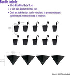 LaLaGreen Bundle- 10 Pack, 4 Inch Black Metal Pot + 4 Pack, 12 Inch Self Watering Pot Geometric Hanging Vertical Wall Mounted Flower Vase Balcony Porch Home Decor Succulent Herbs Plant Holder Garden - Image 2