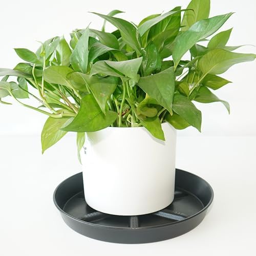 NIMYAU Large Plant Saucer 17 Inch 2 Pack, Thick Plastic Plant Tray for Big Planters, Heavy Duty Drip Tray for Outdoor Garden Flower Pot Saucers - Image 5