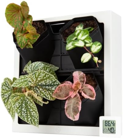 FRESH SPEED Self-Watering Wall Planters with Hygrometer&Thermometer-4 Pots by FRESHSPEED