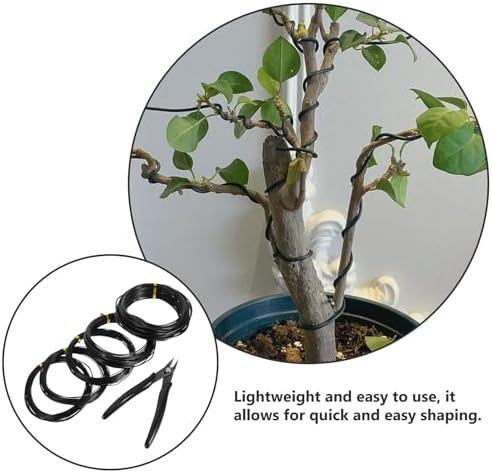 Healeved Anodized Aluminum Bonsai Wire Kit with Cutter, 4 Rolls (1mm, 1.5mm, 2mm) 10m Each, Plant Training Wire for Tree Branch Fixing and Bonsai Shaping Tools for Gardening - Image 6