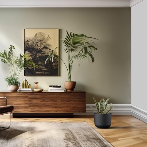 Kante Small Round Capsule Black Concrete Planter 9" Dia, Outdoor - Image 5