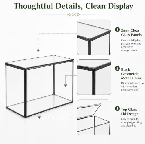 Small Glass Terrarium with Lid, Rectangle Geometric Planter Box, Clear Glass Container for Succulents, Moss, Air Plants, Ferns, Cactus, Tabletop Plant Display Decor, 6.7 x 3.9 x 4.7 in - Image 5