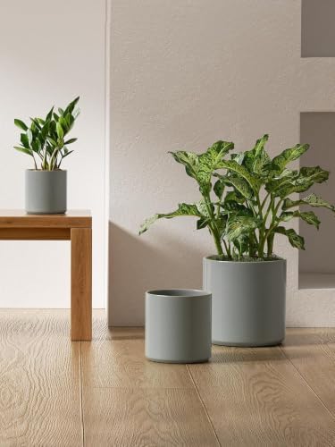 LE TAUCI 10+8+6 Inch Ceramic Pots for Plants, Indoor Planters with Drainage Hole and Plug, Modern Cylinder Flower Pots Set of 3 for Living Room and Bedroom, Glossy, Mist Gray - Image 6