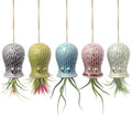 Ceramic Octopus Hanging Air Plant Holder Set of 5 Tillandsia Holder by Unknown