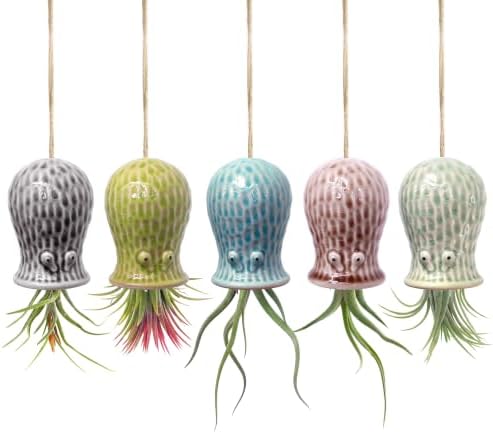 Ceramic Octopus Hanging Air Plant Holder Set of 5 Tillandsia Holder by Unknown
