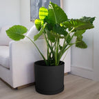 Bloem Mathers Round Planter with Saucer Tray: 12" - Black - Modern Design, Durable Plastic Pot, Removable Saucer, for Indoor & Outdoor Use, Gardening, 5.8 Gallon Capacity - Image 6