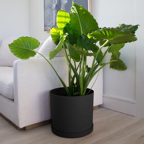 Bloem Mathers Round Planter with Saucer Tray: 12" - Black - Modern Design, Durable Plastic Pot, Removable Saucer, for Indoor & Outdoor Use, Gardening, 5.8 Gallon Capacity - Image 6