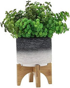 5" Ceramic Planter with Wood Stand, 5 Inch, Gray - Image 4