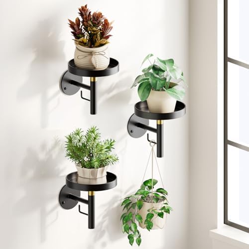 DELLAN Wall Plant Holder, 3 Pack Metal Stand, BlackGold by DELLAN