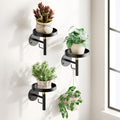 DELLAN Wall Plant Holder, 3 Pack Metal Stand, BlackGold by DELLAN